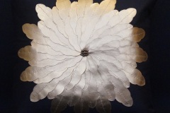 DSC02034